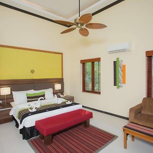Staycation Premium Double or Twin Room